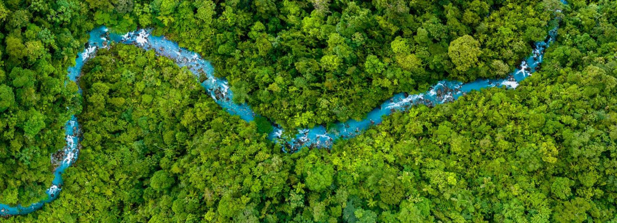 Hideaway Rio Celeste Hotel 비자구아 외부 사진