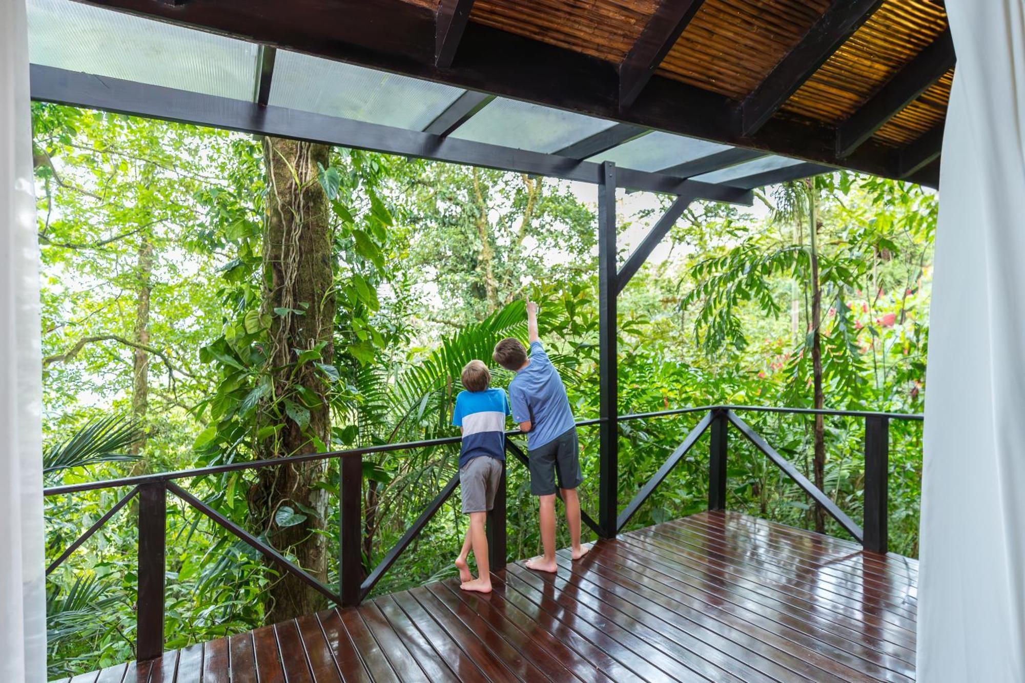 Hideaway Rio Celeste Hotel 비자구아 객실 사진