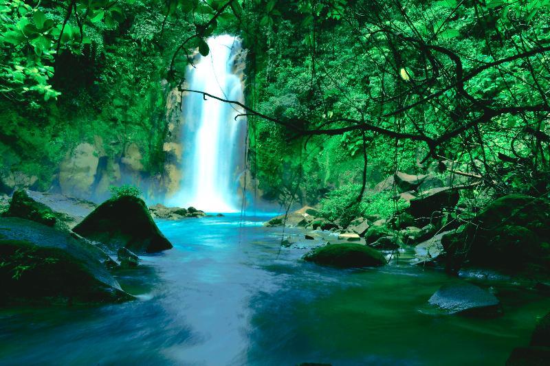 Hideaway Rio Celeste Hotel 비자구아 외부 사진